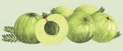 Пример изображения